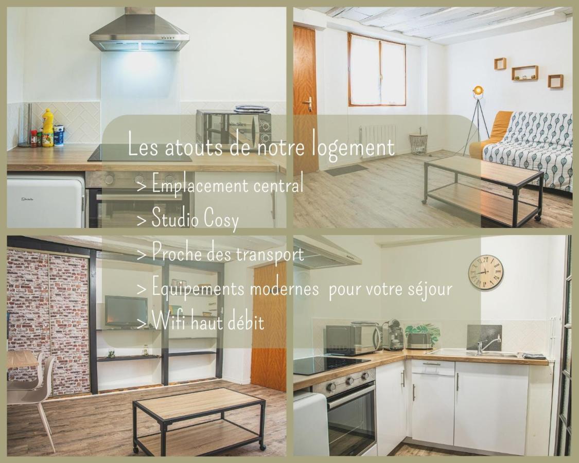 Joli Studio Plein Centre Châteauroux Eksteriør billede